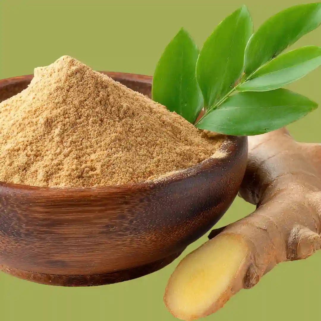 natural remedies vertigo