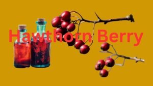 Hawthorn Berry improve circulation to the heart