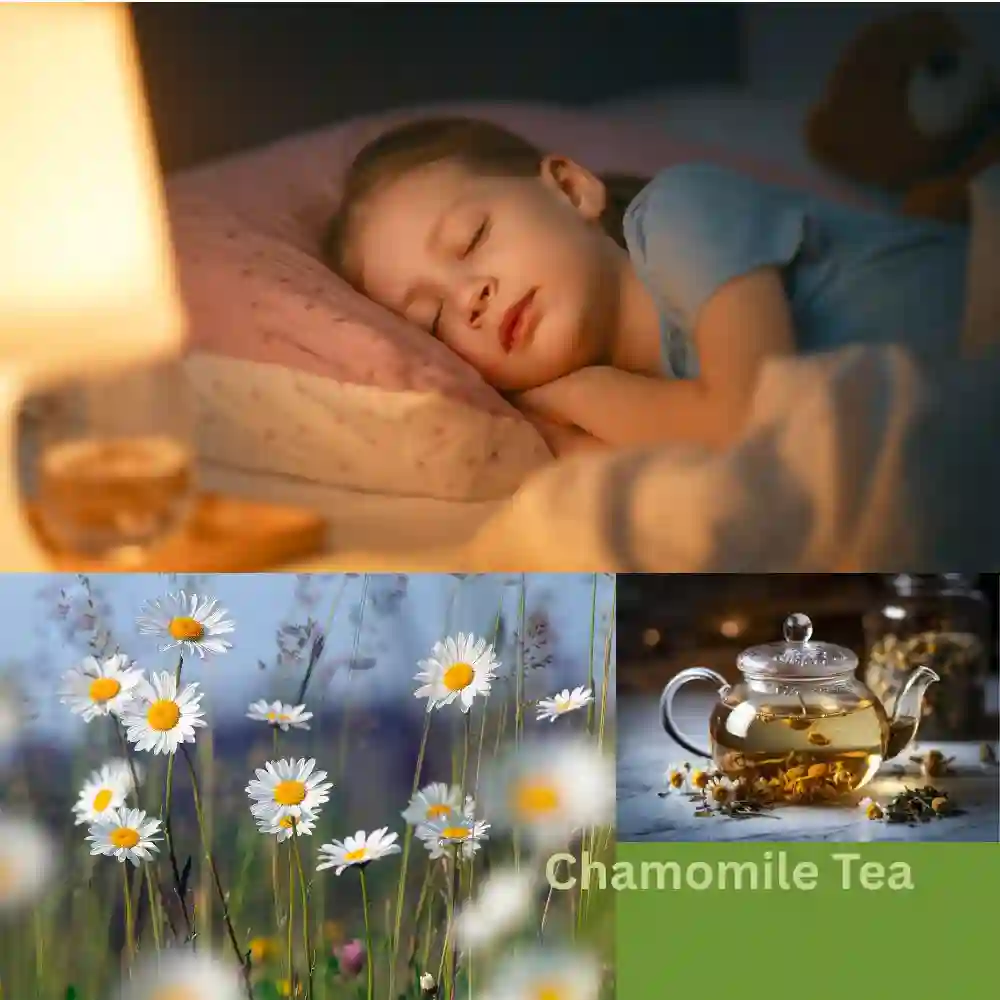 Chamomile best herbal tea for kids make kids sleep fast