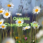 Organic chamomile tea for kids