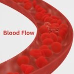 Stress can constrict blood vessels, reducing blood flow to the inner ear and brainstem.