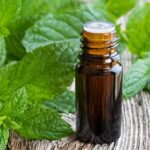Peppermint essential oil is one of the most widely recommended oils for nausea relief. Its refreshing aroma contains menthol, which may help calm the stomach and reduce feelings of queasiness.
