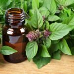 Basil essential oil contains compounds that may help ease nervous tension and digestive discomfort, making it useful for some cases of dizziness and nausea.
